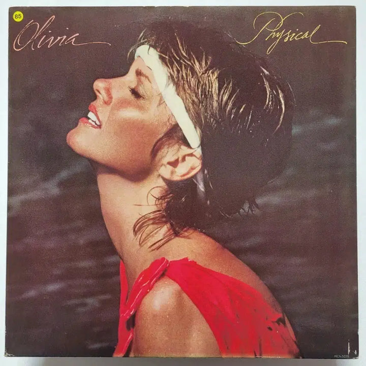 [BUNJANG] Olivia Newton-John Physical Vinyl LP / (미국/LP) 올리비아 뉴튼 존 Olivia Newton John 피지컬