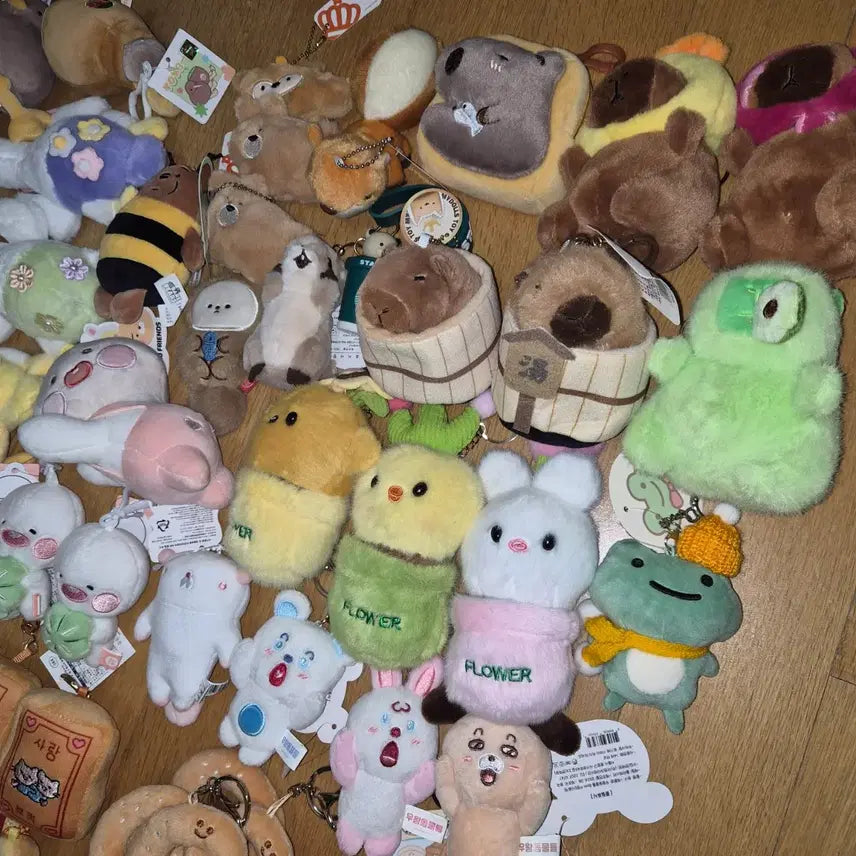 [BUNJANG] Capybara, Bear, Otter, Deer, Squirrel, Frog Plush Keyring / 카피바라 우왕굳친구듀 곰돌이 수달해달 사슴인형 키링 개구리인형 날다람쥐