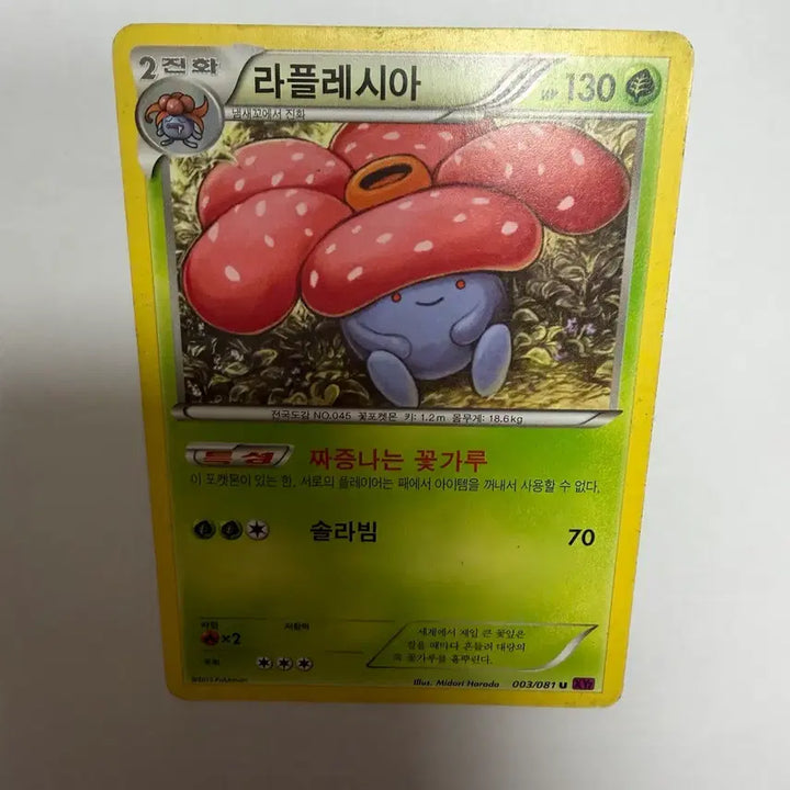 [BUNJANG] Pokemon Card Rafflesia / 라플레시아 포켓몬카드