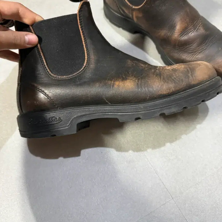 [BUNJANG] Blundstone 2440 Boots / 블런드스톤 2440