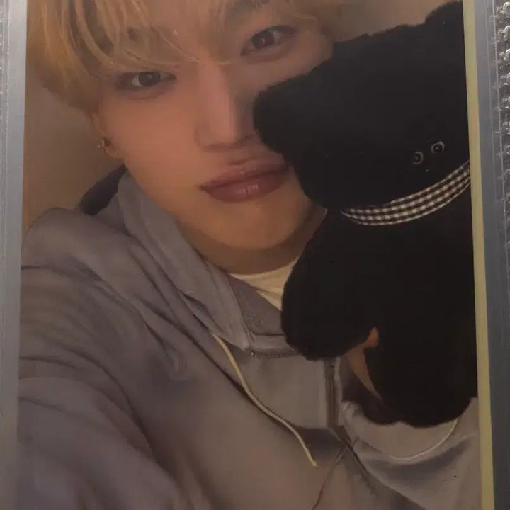 [BUNJANG] ENHYPEN Romance: Untold Album Photocard Bundle Set / 엔하이픈 포카 로맨스언톨드 앨범