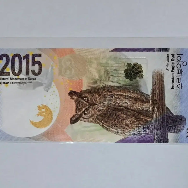 [BUNJANG] Unidentified Owl Test Note / 2015년 수리부엉이 테스트노트