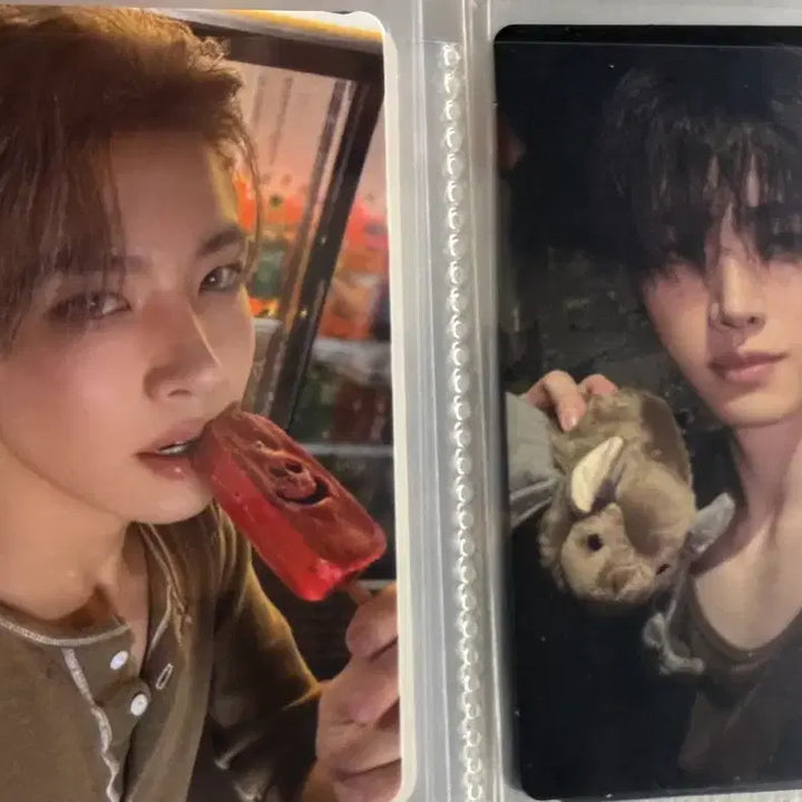 [BUNJANG] ENHYPEN The Sin:Carnival Photocard Bundle Set / 더신배니쉬 엔하이픈 포카