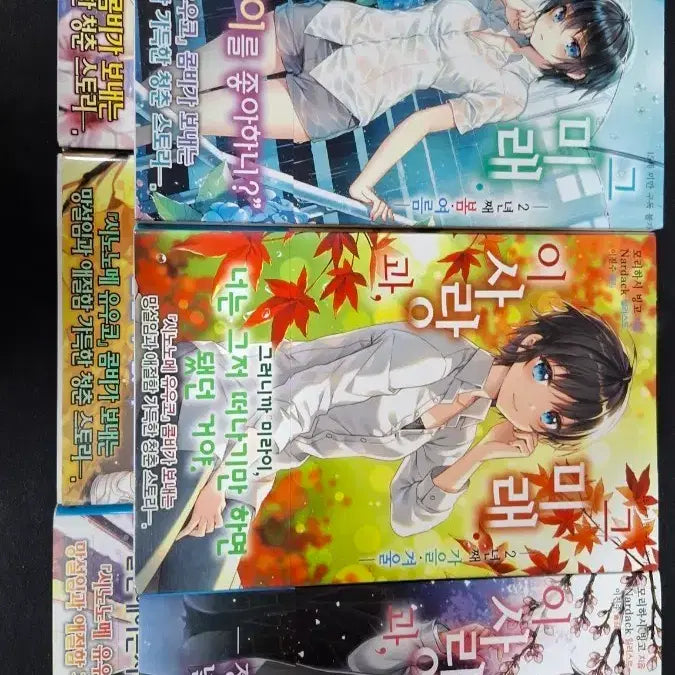 [BUNJANG] This Love, and the Future Complete Edition First Print / 이 사랑과, 그 미래 전권 초판