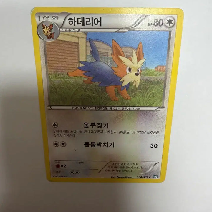 [BUNJANG] Haderier Pokemon Card / 하데리어 포켓몬카드