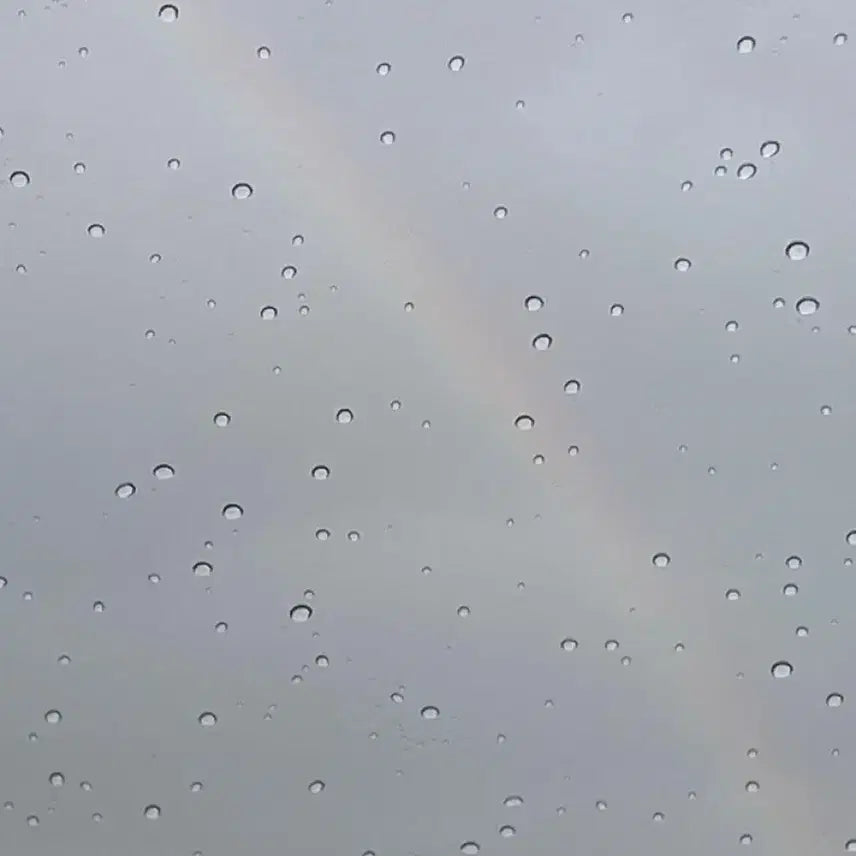 [BUNJANG] Sold Out Item / Soldout