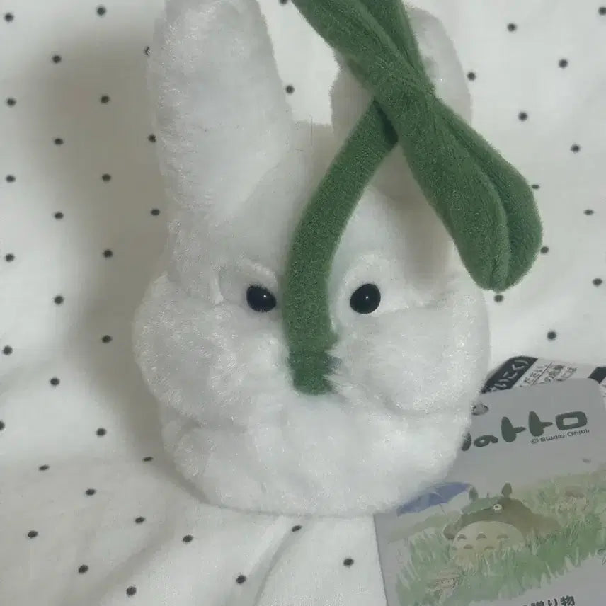 [BUNJANG] Ghibli Totoro Cartoon Doll / 지브리 토토루만화 인형