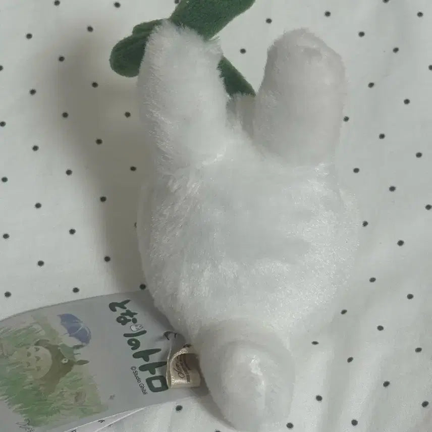 [BUNJANG] Ghibli Totoro Cartoon Doll / 지브리 토토루만화 인형