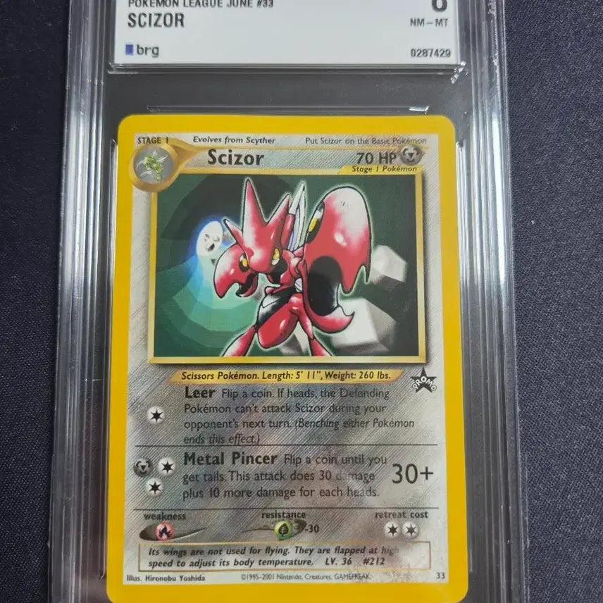 [BUNJANG] Pokemon Black Star Promo BRG8 Card / [포켓몬 카드] 북미판 핫삼 블랙스타 프로모 brg8