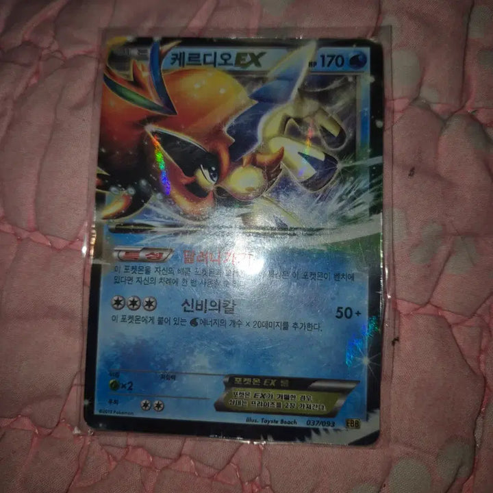 [BUNJANG] Pokemon Card Bundle Set / 포켓몬 일괄 구매시 세일