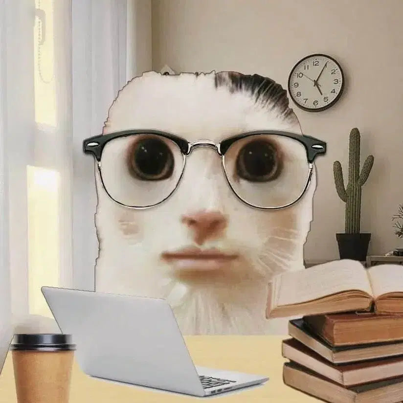 [BUNJANG] Kkobugi Ttibbu / 꼬부기 띠부