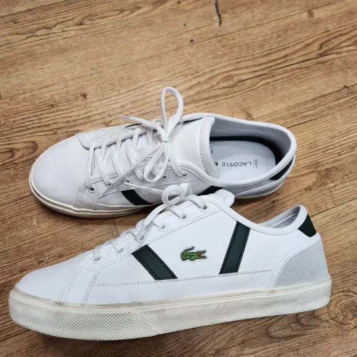 [BUNJANG] Lacoste Sneakers / 라코스테운동화