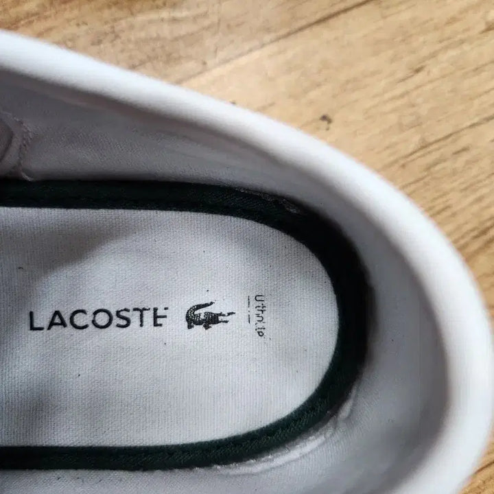 [BUNJANG] Lacoste Sneakers / 라코스테운동화