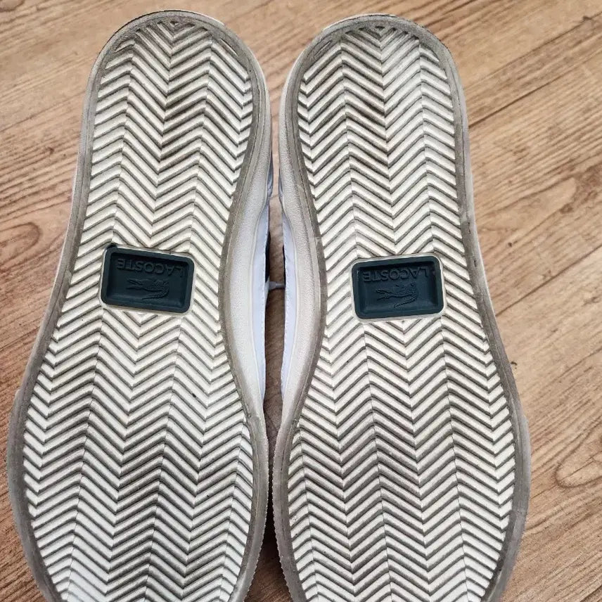 [BUNJANG] Lacoste Sneakers / 라코스테운동화