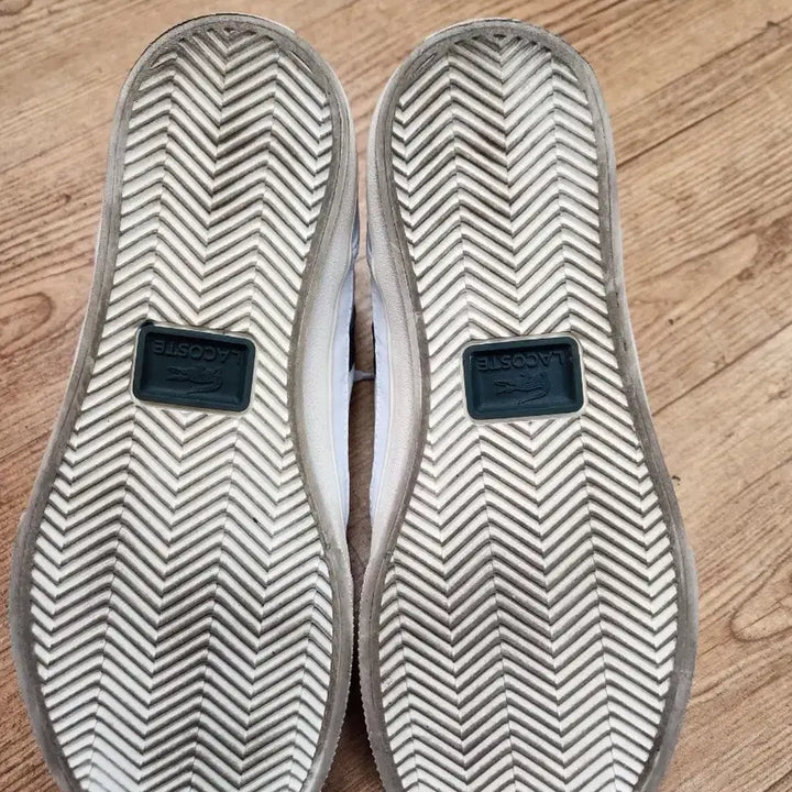[BUNJANG] Lacoste Sneakers / 라코스테운동화