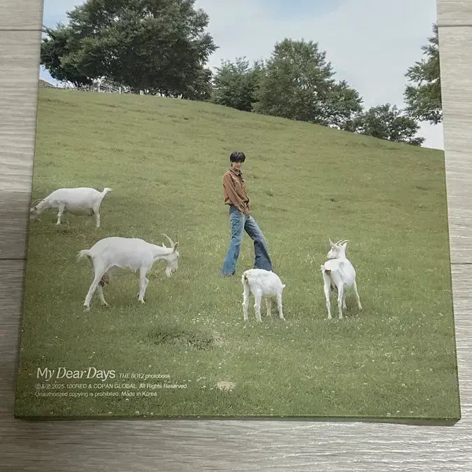 [BUNJANG] The Boyz Younghoon Bundle Set Goods / 더보이즈 영훈 포카/빵아지/포토북/응원봉구형/왹빵이우치와/굿즈 일괄 판매