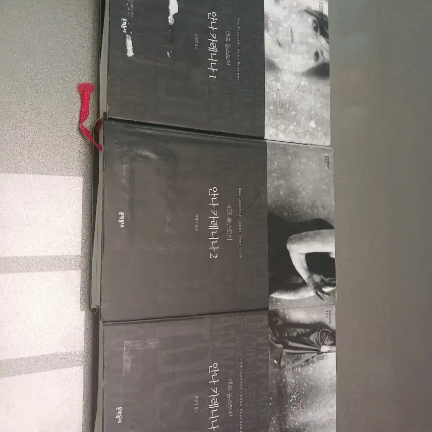 [BUNJANG] Leo Tolstoy Anna Karenina Complete Set / 안나 카레니나