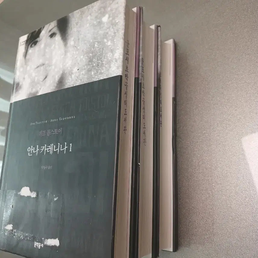 [BUNJANG] Leo Tolstoy Anna Karenina Complete Set / 안나 카레니나