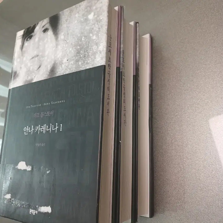[BUNJANG] Leo Tolstoy Anna Karenina Complete Set / 안나 카레니나