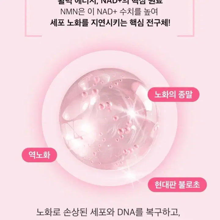 [BUNJANG] 피부나이 리셋 세럼 NMN NAD 세럼 30ml / 피부나이 리셋 세럼 NMN NAD 세럼 30ml