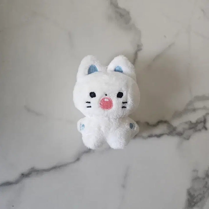 [BUNJANG] 2PM Junho Cat Doll / 2pm 준호 고양이인형