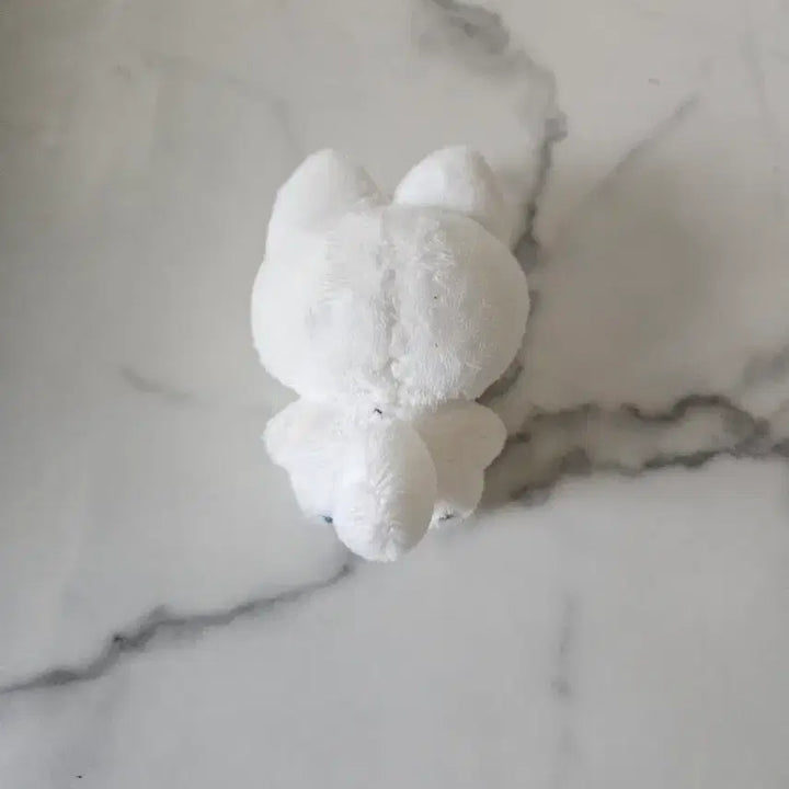 [BUNJANG] 2PM Junho Cat Doll / 2pm 준호 고양이인형