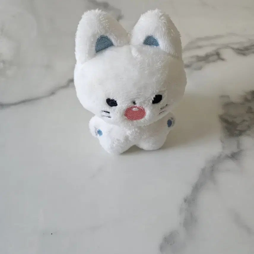 [BUNJANG] 2PM Junho Cat Doll / 2pm 준호 고양이인형