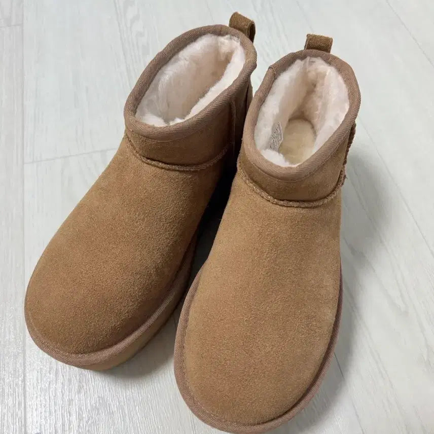 [BUNJANG] UGG Suede Leather Mini Platform Boots Chestnut / 어그 스웨이드 레더 미니 플랫폼 부츠 체스넛 / 1135092CHE