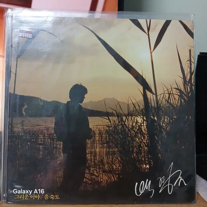[BUNJANG] Baek Young Kyu Eulsookdo LP Record / 백영규 그리운이야/을숙도 LP 레코드