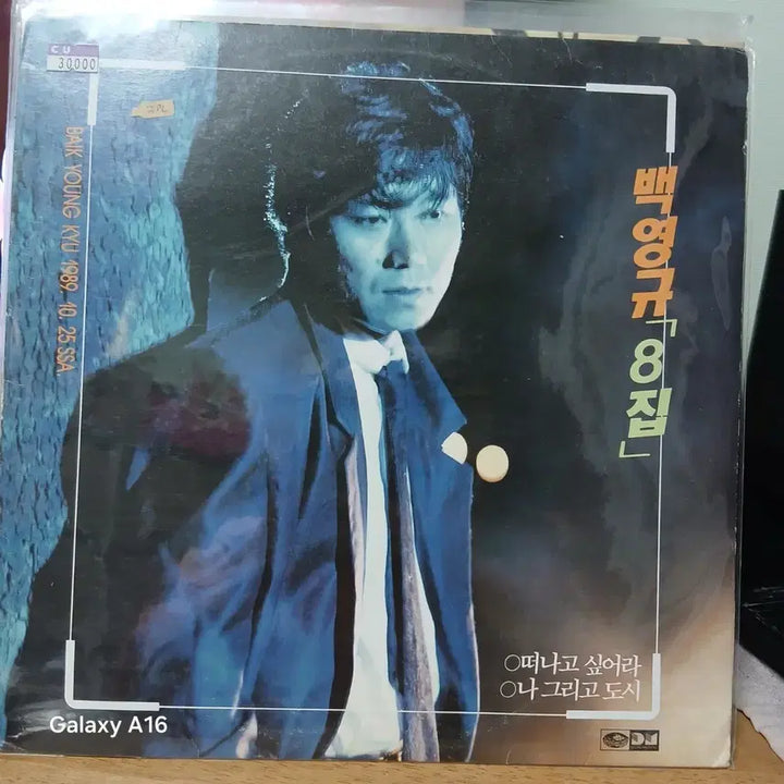 [BUNJANG] Baek Young Kyu 8th Album LP Record / 백영규 8집 LP 음반