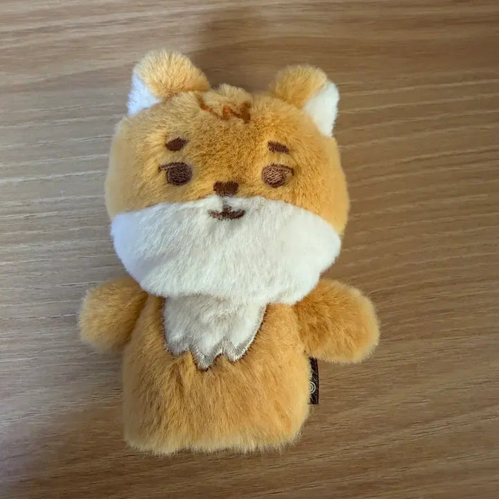 [BUNJANG] Day6 Finger Doll Ppemul / 데이식스 손가락인형 쁘멀 케