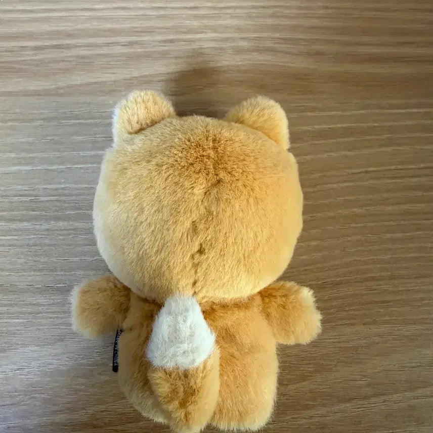 [BUNJANG] Day6 Finger Doll Ppemul / 데이식스 손가락인형 쁘멀 케