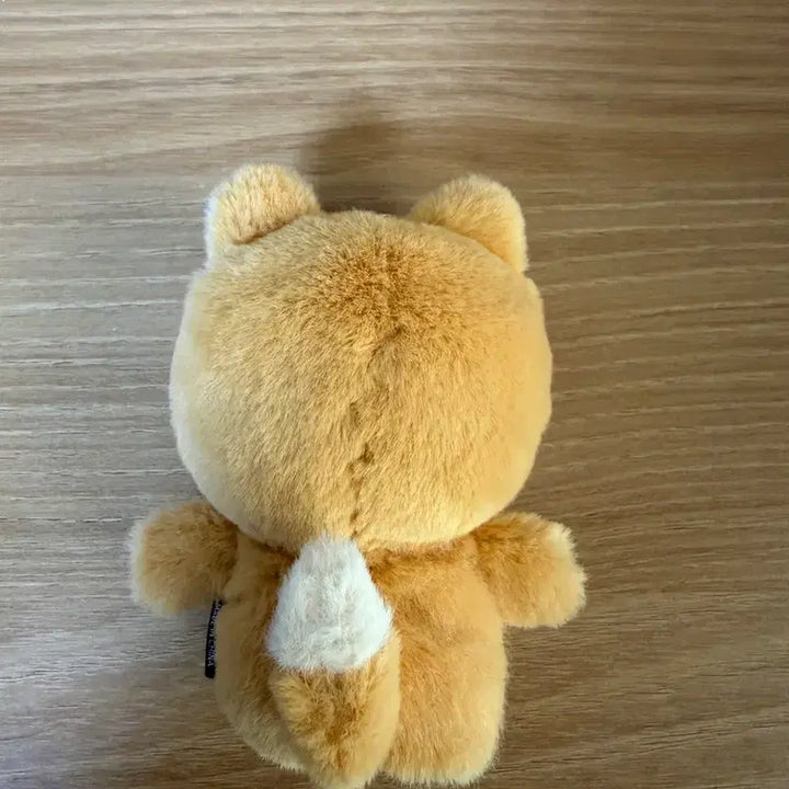 [BUNJANG] Day6 Finger Doll Ppemul / 데이식스 손가락인형 쁘멀 케