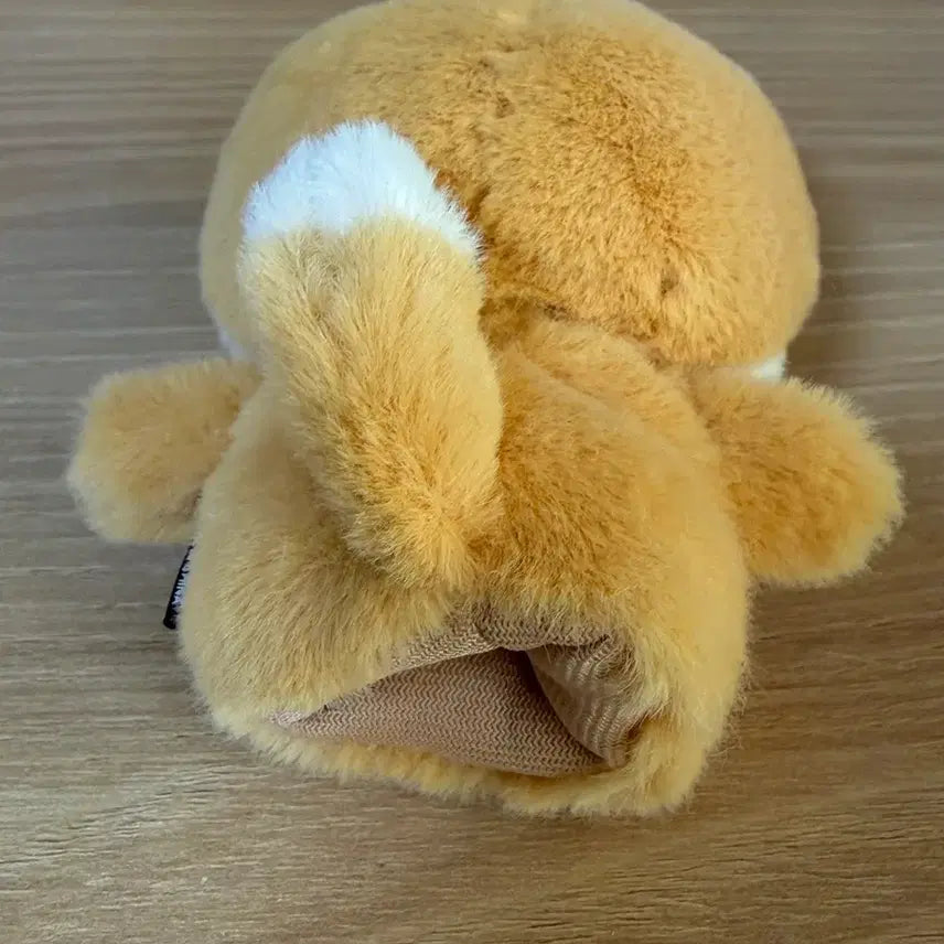 [BUNJANG] Day6 Finger Doll Ppemul / 데이식스 손가락인형 쁘멀 케