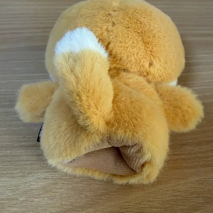 [BUNJANG] Day6 Finger Doll Ppemul / 데이식스 손가락인형 쁘멀 케