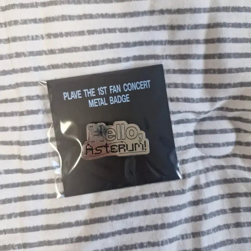 [BUNJANG] PLAVE 1st Fan Concert Badge / PLAVE 플레이브 1st 팬콘서트 뱃지