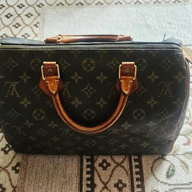 [BUNJANG] Louis Vuitton Speedy 30 Handbag / 루이비통 스피디30