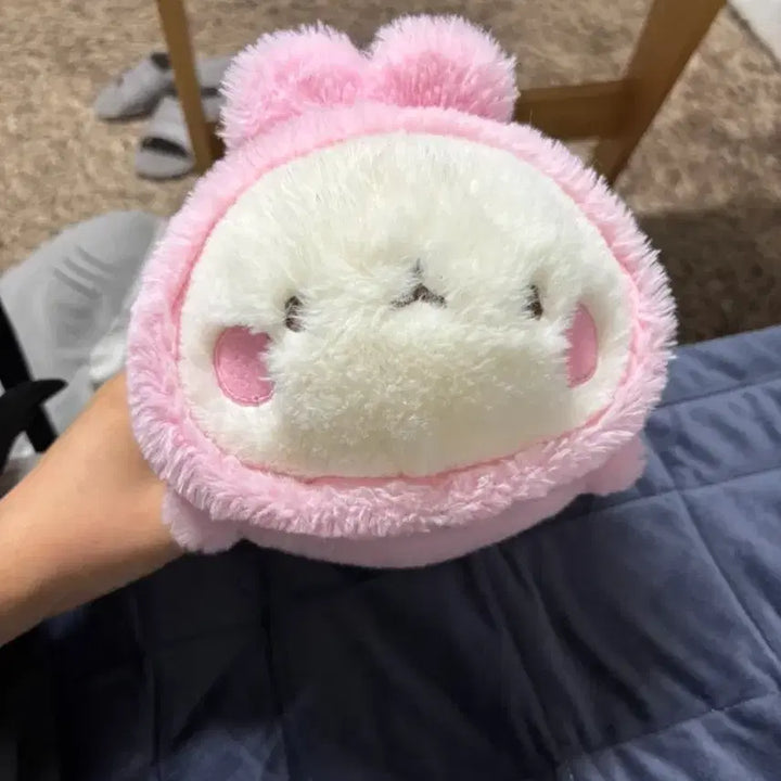 [BUNJANG] Molang Plush Doll / 몰랑이 인형