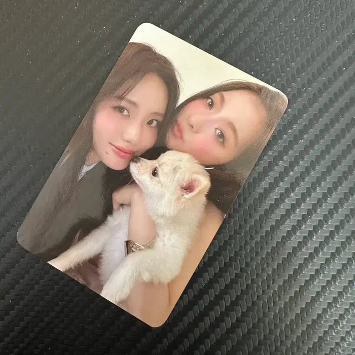 [BUNJANG] fromis_9 Park Jiwon, Lee Nakyung Unit Photocard / [판매] 프로미스나인 박지원, 이나경 유닛 포토카드