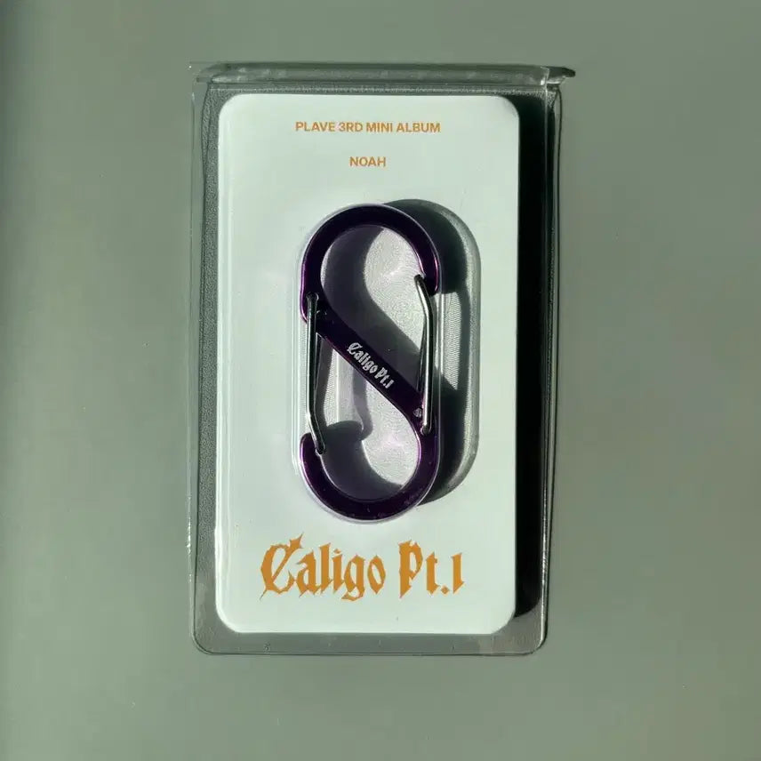 [BUNJANG] PLAVE Noah Caligo Album / [미개봉] 플레이브 노아 카라비너 칼리고 앨범 특전