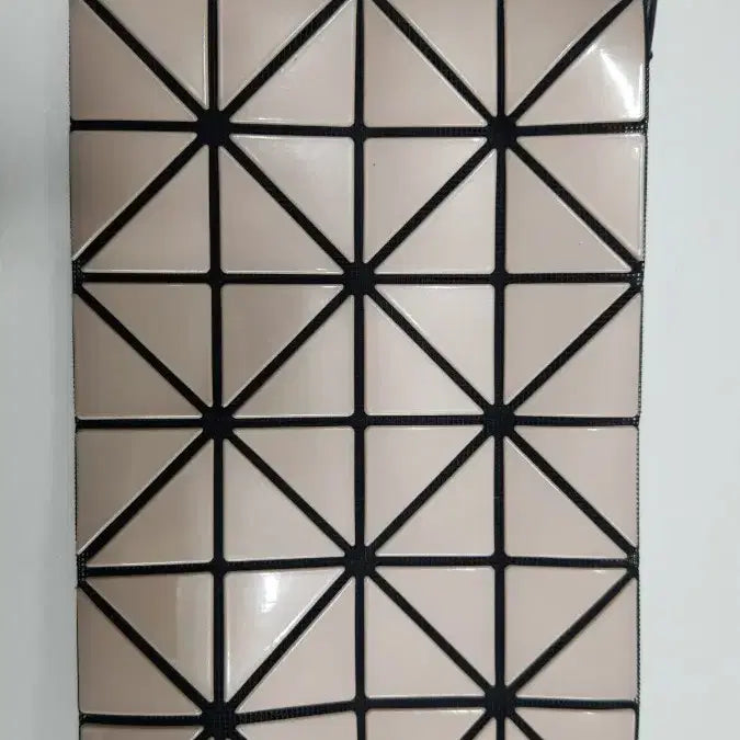 [BUNJANG] Issey Miyake Bao Bao Clutch / 이쎄이이야케 바오바오 클러치