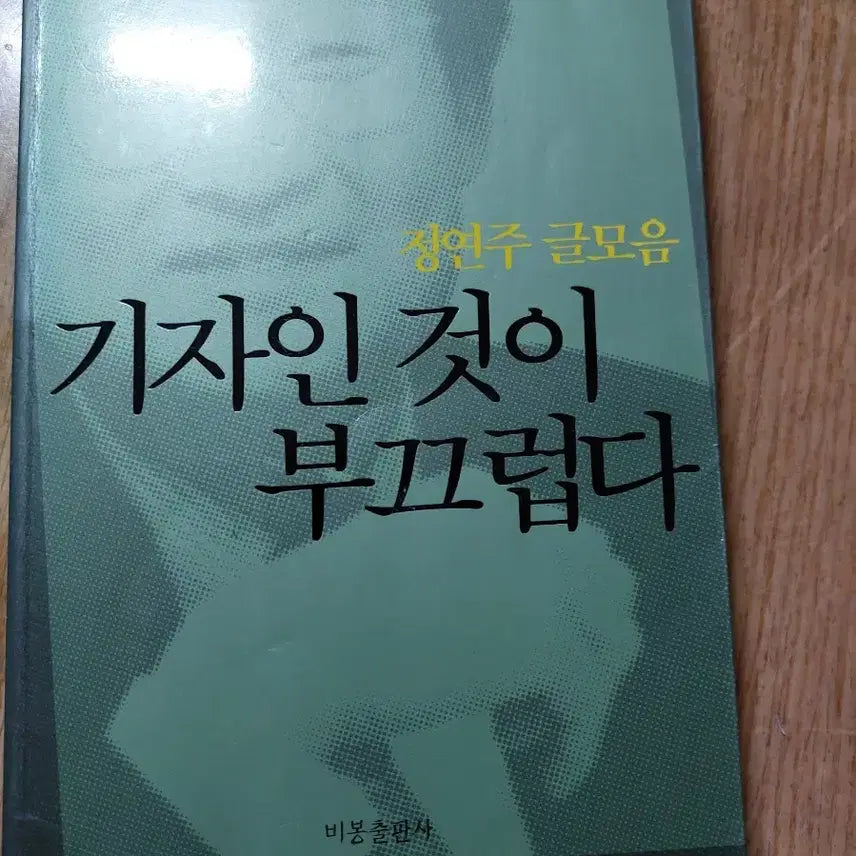 [BUNJANG] BBK The Hidden Truth Book / BBK 숨겨진 진실 (송동식 지음)