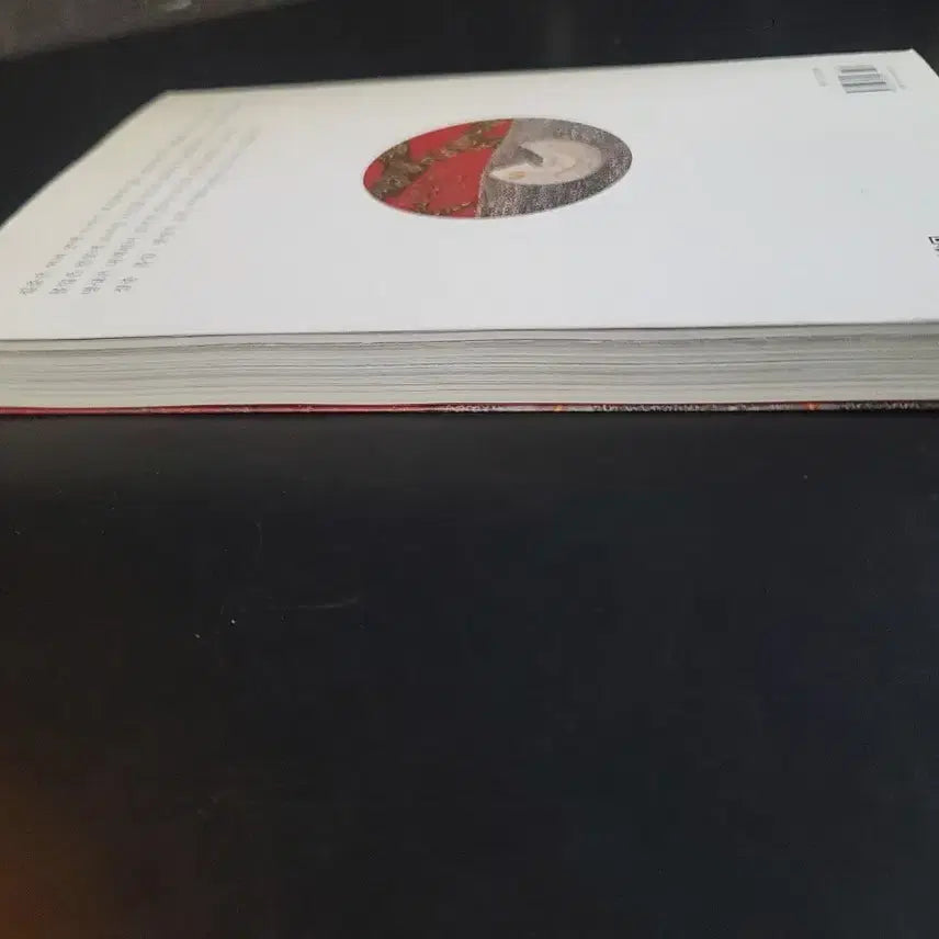 [BUNJANG] Meditation Through Red Book / 만다라를 통한 명상치유 붉음화두 책