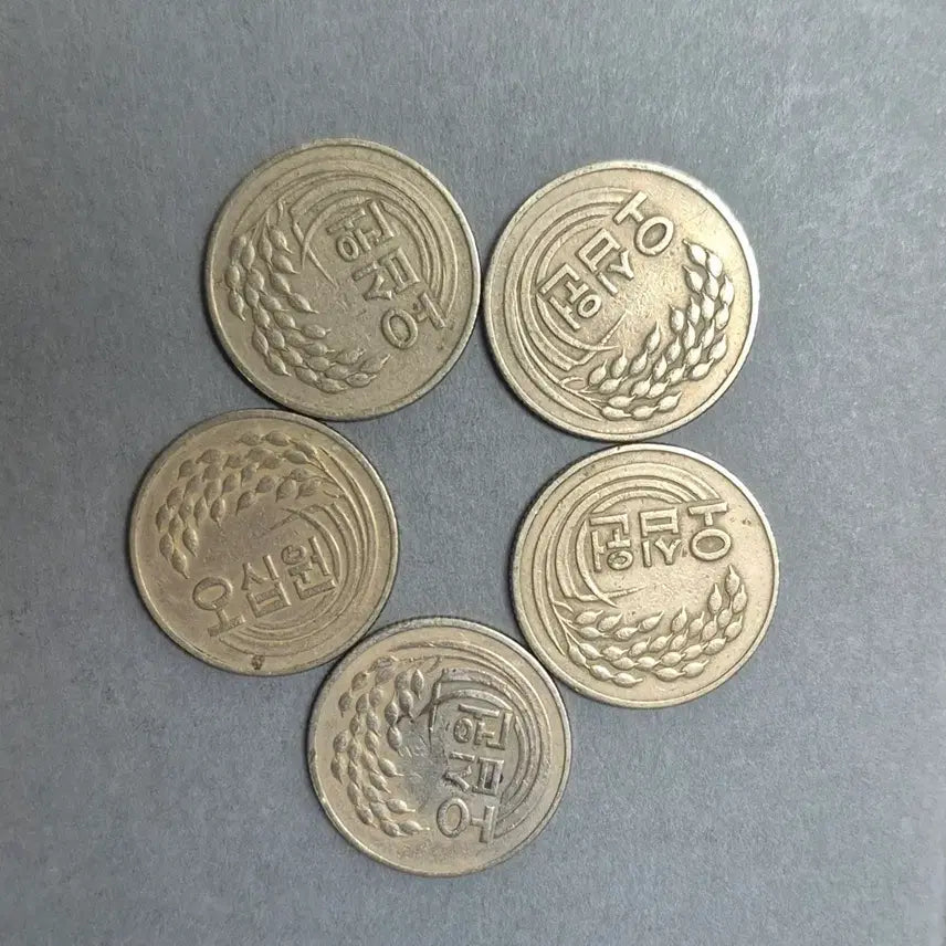[BUNJANG] Korean 50 Won Coins (1973-1982) Set / 1973~1982(특,준특년도)  50주화 25개
