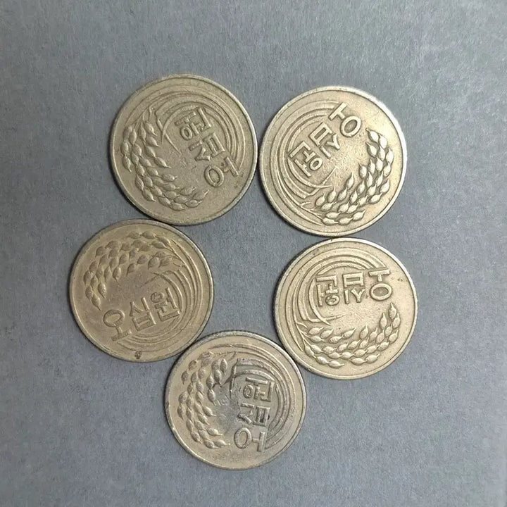 [BUNJANG] Korean 50 Won Coins (1973-1982) Set / 1973~1982(특,준특년도)  50주화 25개