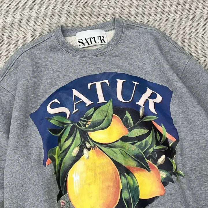 [BUNJANG] Setter Capri Printing Sweatshirt / 세터 카프리 프린팅 스웻셔츠 r3090