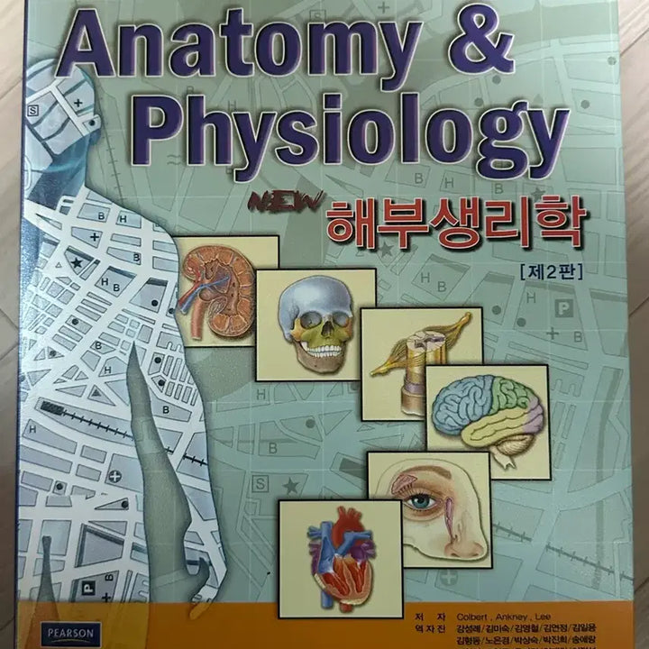 [BUNJANG] Nursing Major Textbooks / 간호학과 전공책 팔아요