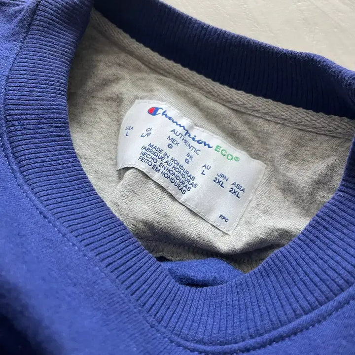 [BUNJANG] Champion Fleece Sweatshirt (2XL) Vintage / 챔피언 기모맨투맨 (2XL - 110) 빈티지