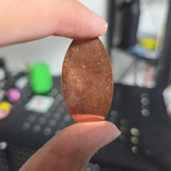 [BUNJANG] Tokyo Disneyland Nick Wilde Commemorative Coin / 도쿄 디즈니랜드 닉 프레스 기념주화