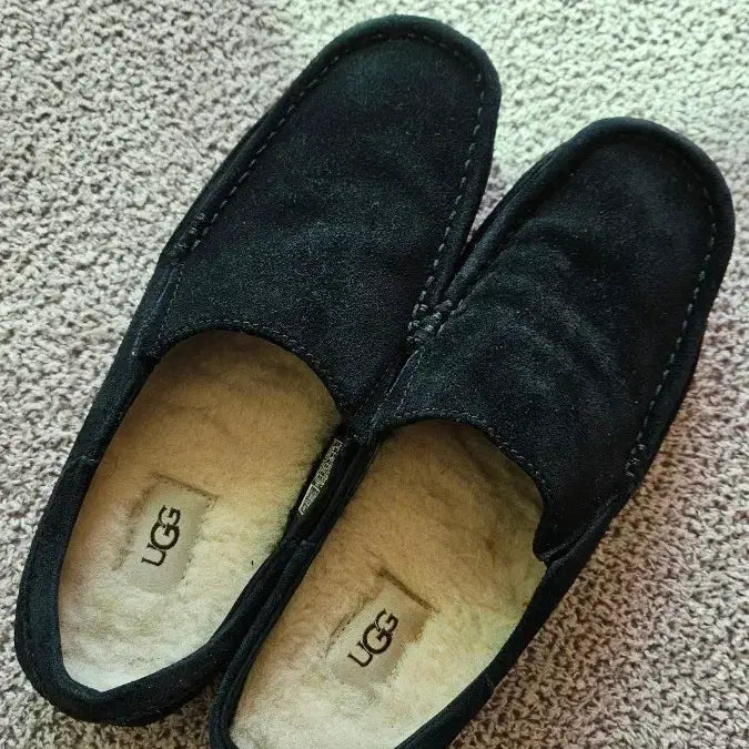 [BUNJANG] 남상 어그로퍼 / 남상 어그로퍼